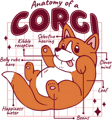 Anatomy Of A Corgi Dog Women's Sweatshirt