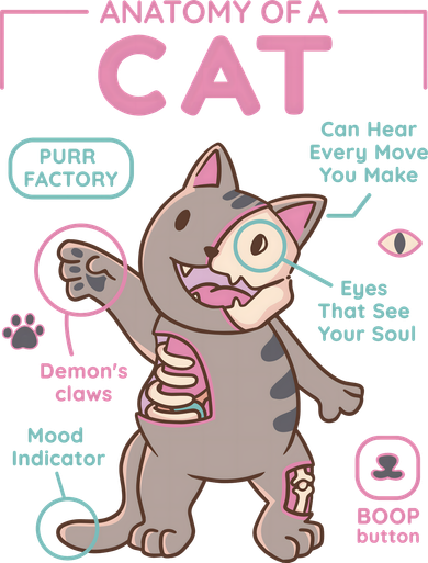 Anatomy Of A Cat Women's T-Shirt