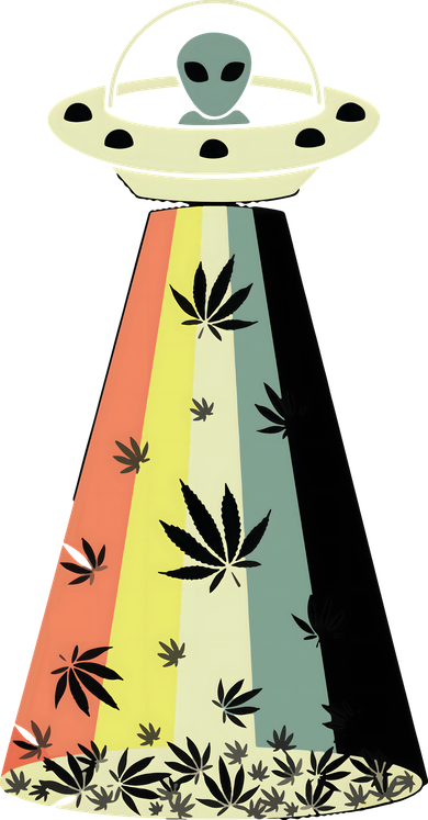 Alien UFO Abduction Weed Cannabis Marijuana Leaf Funny Women's Sweatshirt