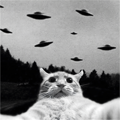 Alien UFO Funny Cat Selfie Button
