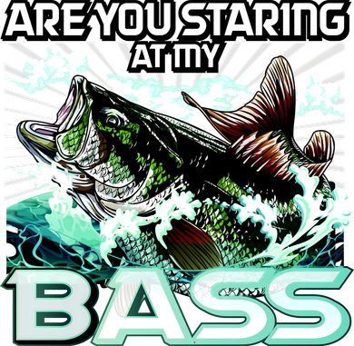 Are You Staring At My Bass Funny Fishing Women's Hoodie