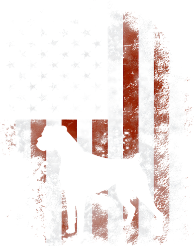 Boxer American Flag USA 4th Of July Dog Gifts Tank Top