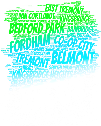 Boogie Down Bronx New York City Pride Map Area Like A Zoo Gift Women's Tank Top