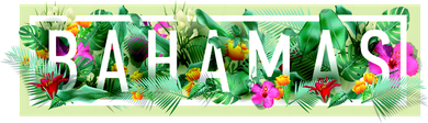 Bahamas Framed Floral Design Tote Bag