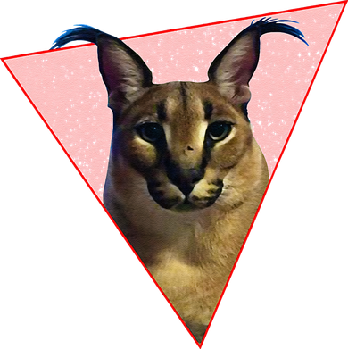 Big Floppa Meme Funny Cat Coaster