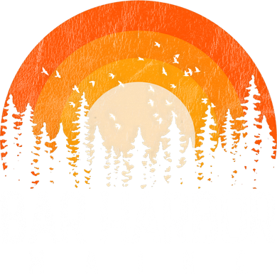 Bar Harbor Maine Me Great Gift Retro Vintage 70s 80s 90s Gift Kids Sweatshirt