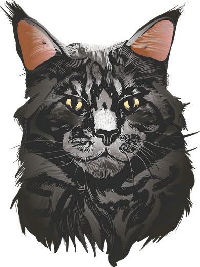 British Maine Coon Cat Portrait Women's Tank Top