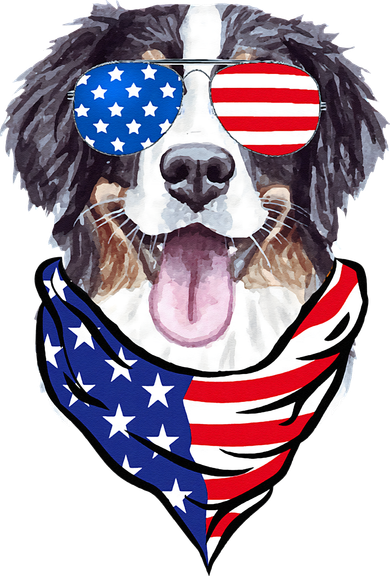 Bernese Mountain Dog American Flag Glasses 4th of July Toddler Hoodie