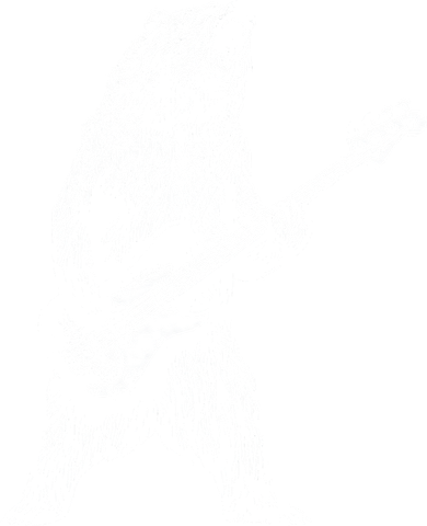 Bear Playing Bass Guitar For Men Animal Playing Guitar Kids T-Shirt
