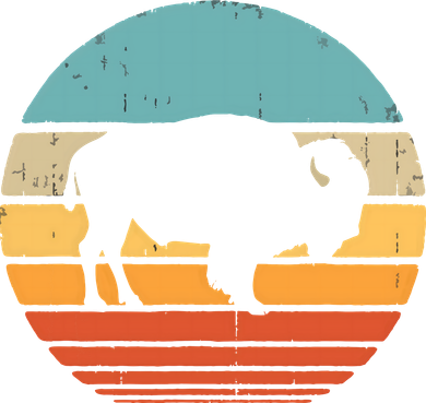 Bison Retro Vintage 60s 70s Sunset Buffalo Mammal Animal Men Kids T-Shirt
