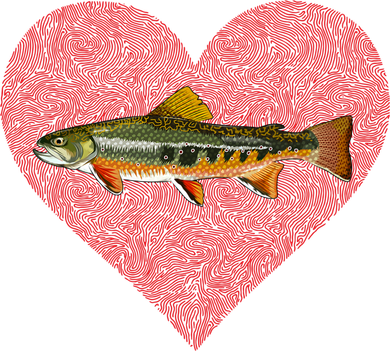 Brook Trout Valentines Day Fish Love Fingerprint Funny Gift Toddler T-Shirt