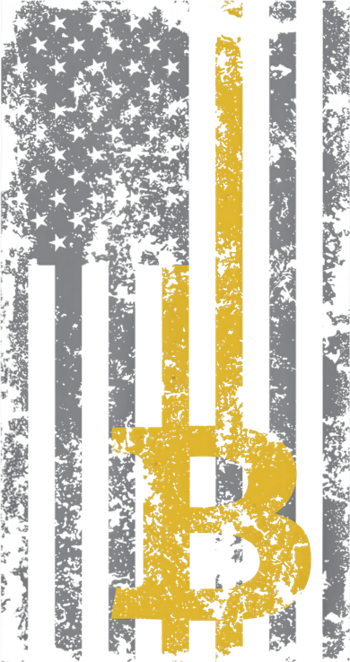 Bitcoin USA Flag Distressed Digital Currency Lover Ornament
