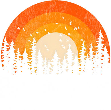Bellingham Washington Wa Gift Retro 70s 80s Vintage Gift Great Gift Doddie Hoodie