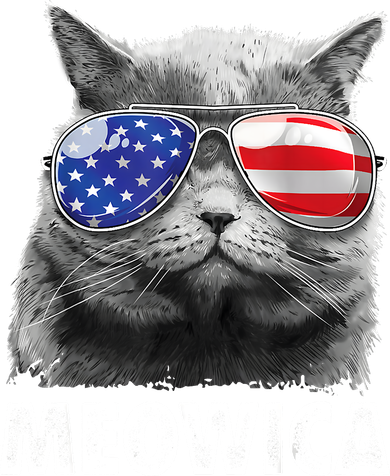 Cat 4th Of July Meowica American Flag Sunglasses Toddler T-Shirt