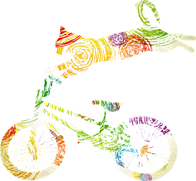 Cat Bike Cycling Bicycle Your Gift Collection Hoodie