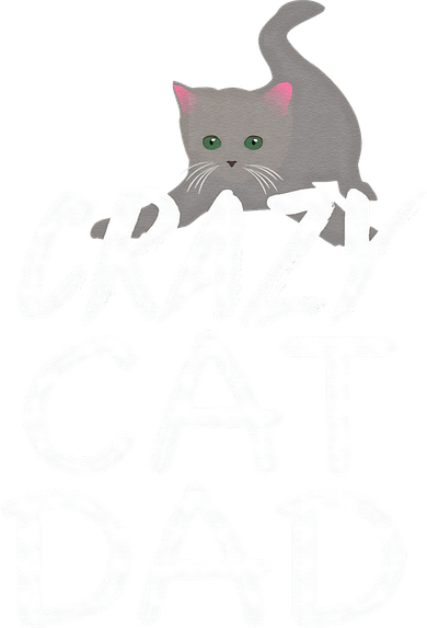 Crazy Cat Dad Funny Fathers Day Kitten Dads Tee Kids Sweatshirt