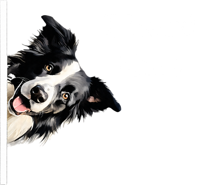 Collie Dog Lovers Herd That Doddie Hoodie