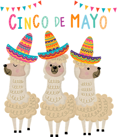 Cinco De Mayo Llama Fiesta Kids T-Shirt