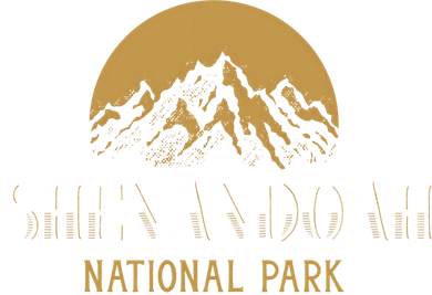 Camping Hiking Outdoor Gift Shenandoah National Park Gift Women's Tank Top