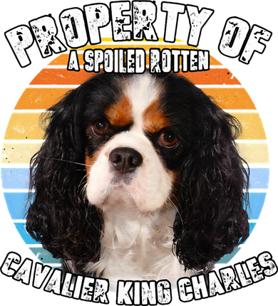 Cavalier King Charles Tri Owner Lover Retro Vintage Cute Dog Women's Sweatshirt