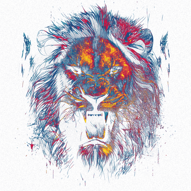 Colorful Lion Head Kids Hoodie
