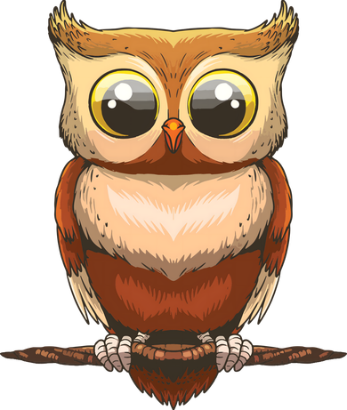 Cute Owl Art For Men Women Boy Girl Owl Lovers Women's Sweatshirt