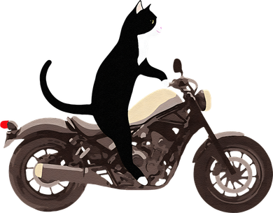 Cat On A Motorcycle Funny Button