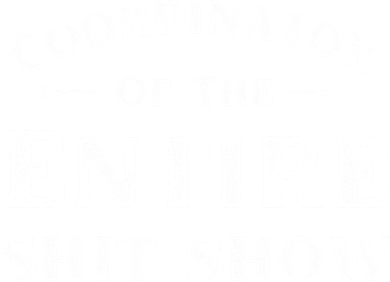 Coordinator Of The Entire Shit Show Funny Saying Sarcastic Doddie Hoodie