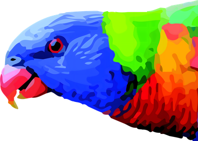 Cool Parrot Bird Funny Side Action Magnet