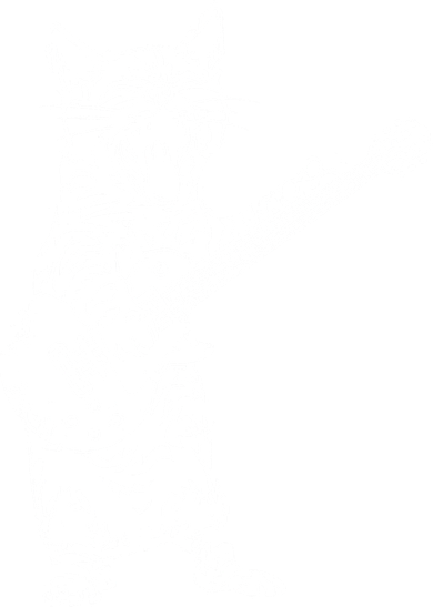 Cat Rocker Funny Kitty Plays Guitar Rockstar Cats Guitarist Women's Long Sleeve Shirt
