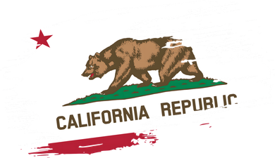 California Republic Vintage Torn Flag Coffee Mug