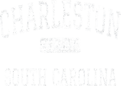 Charleston South Carolina SC Vintage Toddler Hoodie