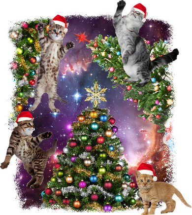 Christmas Space Cats Kids T-Shirt