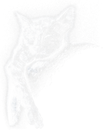 Cat Sleeping On The Moon Sketch Ornament