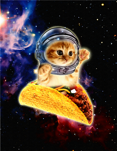 Crazy Space Taco Cat Funny V2 Tote Bag