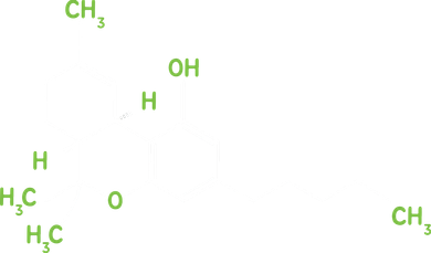 Cannabis Shirts Weed Pot Molecule THC Marijuana Stoner Gift Women's Hoodie