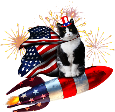 Cat Tuxedo 4th Of July Rocket With Fireworks USA Patriotic Baby Bodysuit