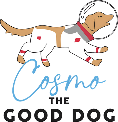 Cosmo The Good Dog Rocket Lylla Floor & Teefs Space Dog Women's T-Shirt
