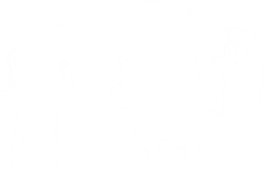 Distressed Buffalo Retro Bison Animal Lover Men Women Dad Baby Bodysuit