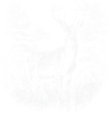 Deer In Nature Realistic Golf Towel