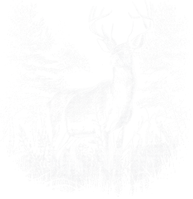 Deer In Nature Realistic Tote Bag