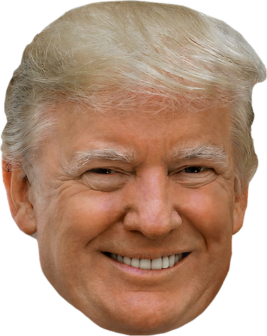 Donald J Trump The President's Face On A Meme Kids Sweatshirt