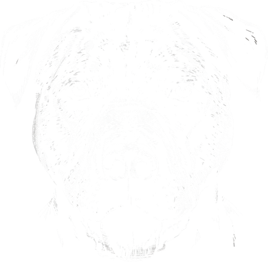 Detailed Pitbull Dog Hoodie