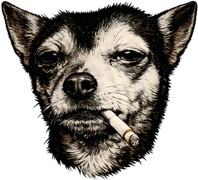 Dog Smoking Cigarette Funny Chihuahua Hat