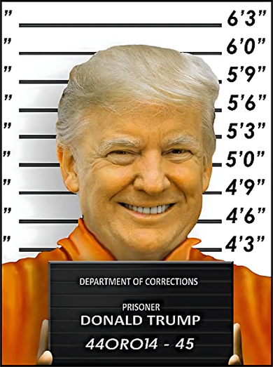 Donald Trump Mugshot Jail Prison Hooded Wearable Blanket