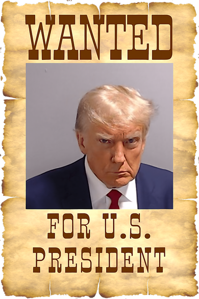 Donald Trump Mug Shot Wanted For US President Hooded Wearable Blanket
