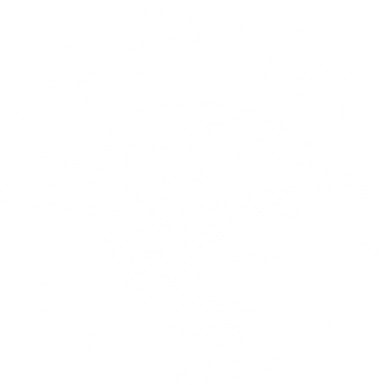Dry Tortugas National Park Florida Keys Scuba Diving Turtle Gift Doggie Tank