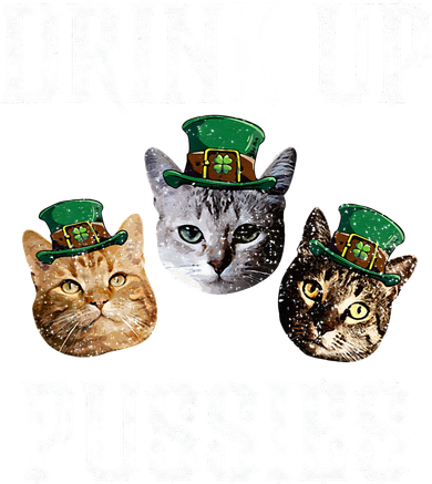 Drink Up Pussies Funny Cat Drinking St Patricks Day Toddler Hoodie