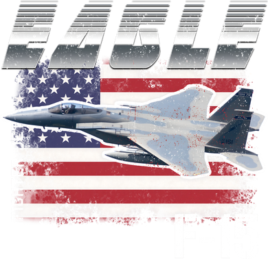 Eagle F 15 Aircraft Women's Long Sleeve Shirt