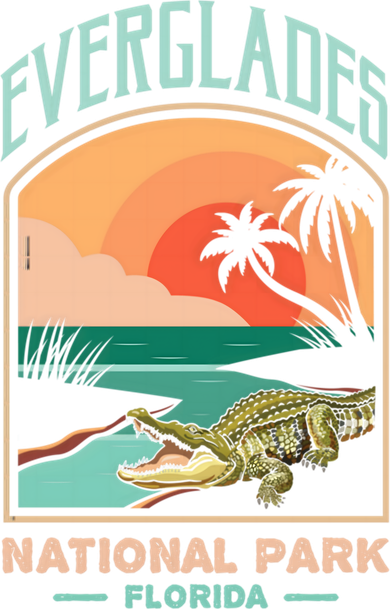 Everglades National Park Us Crocodile Florida Alligators Gift Women's Sweatshirt